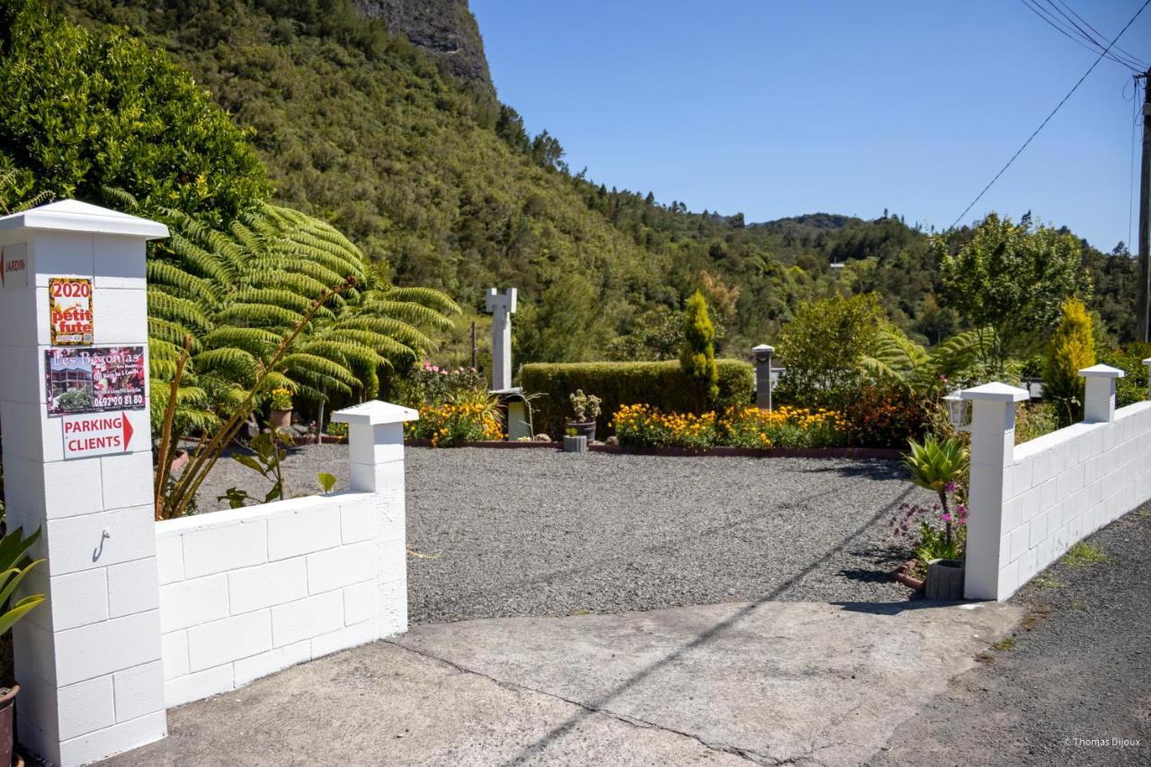 Les Begonias Villa Cilaos Eksteriør billede