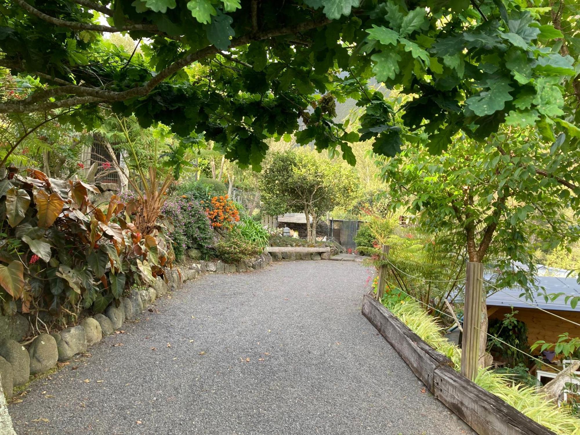 Les Begonias Villa Cilaos Eksteriør billede