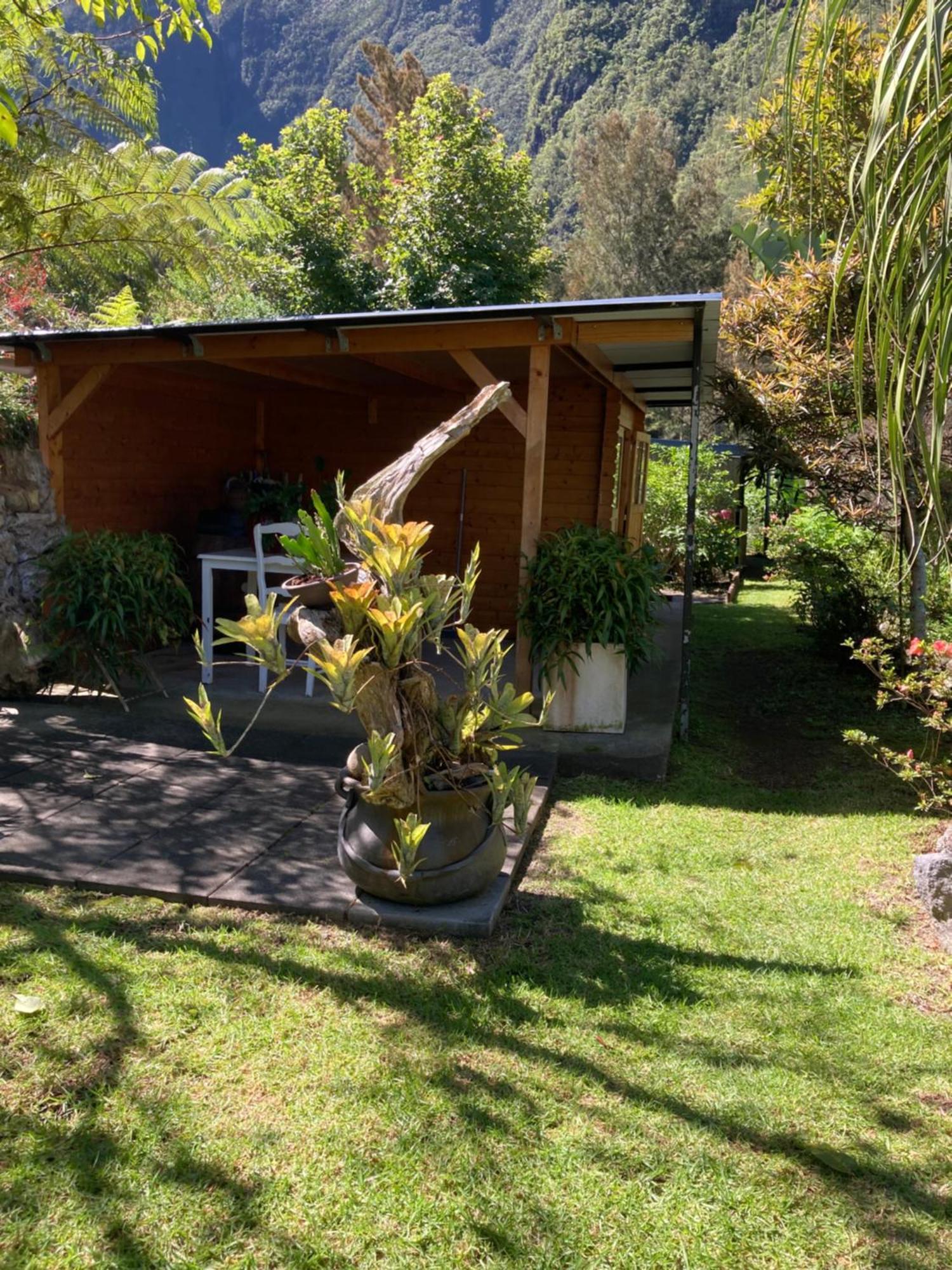 Les Begonias Villa Cilaos Eksteriør billede