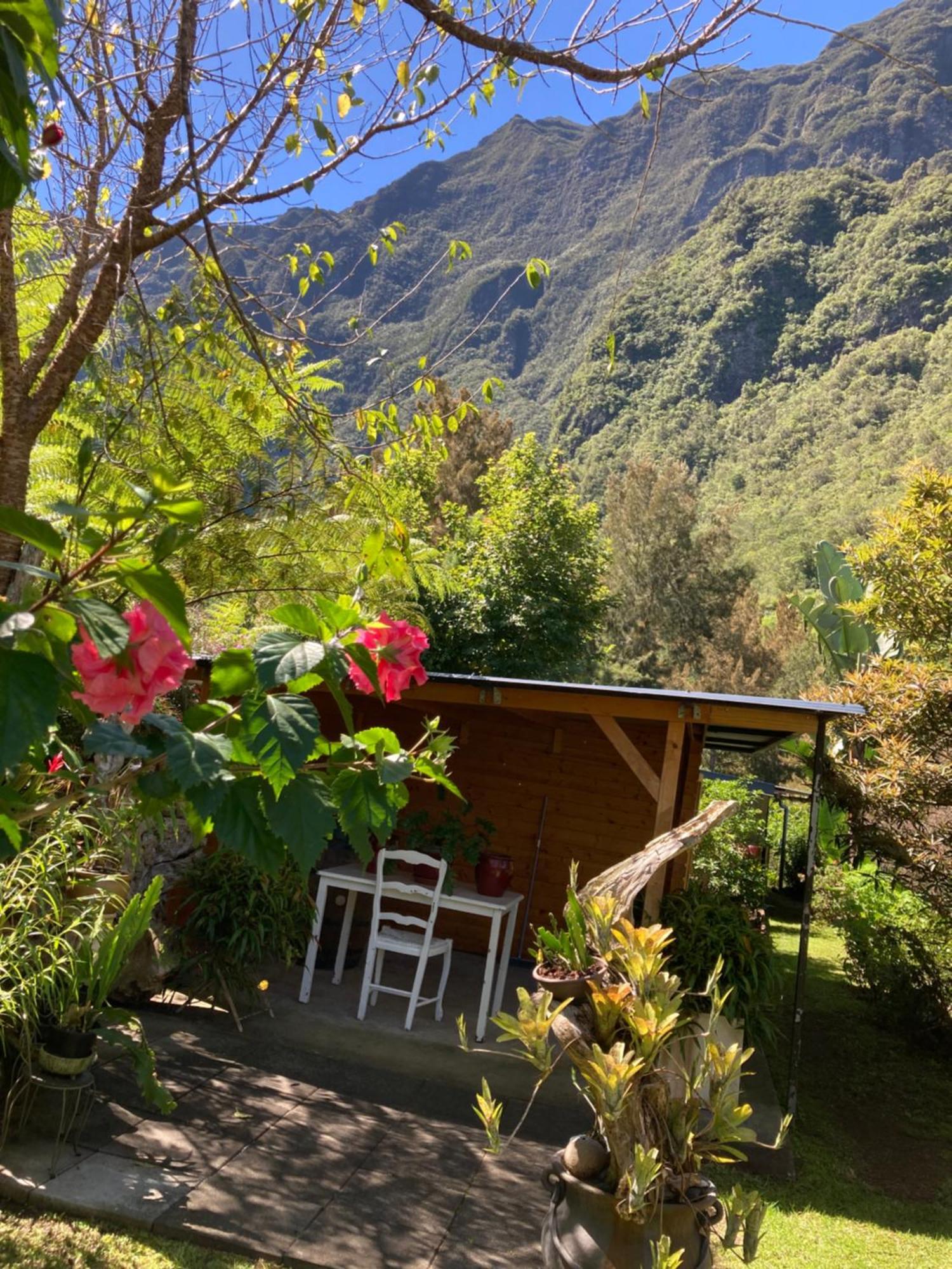 Les Begonias Villa Cilaos Eksteriør billede