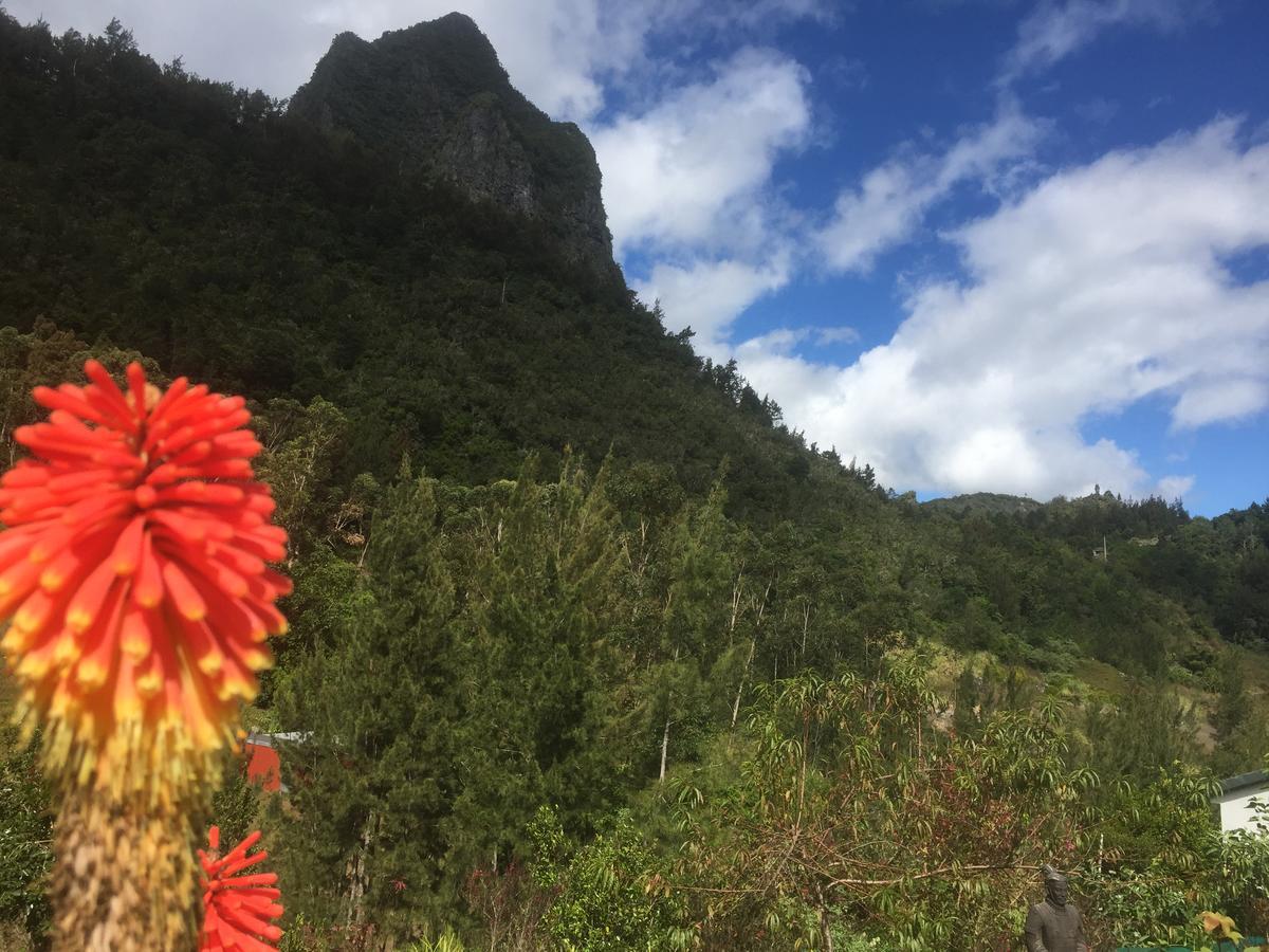 Les Begonias Villa Cilaos Eksteriør billede